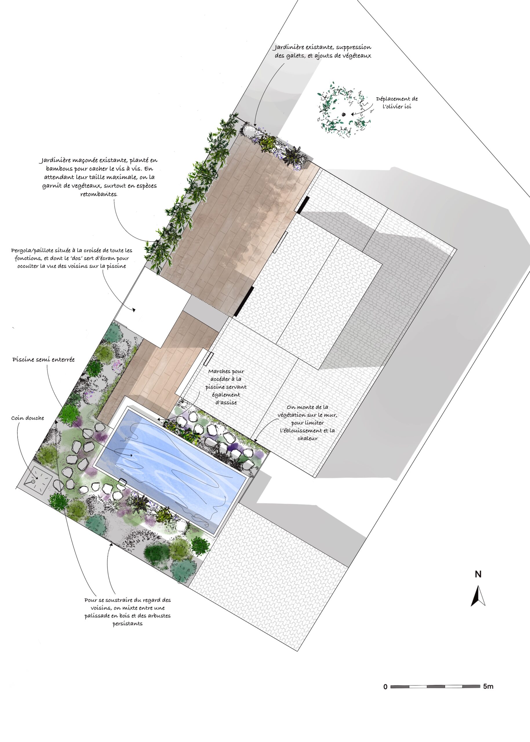 plan 2D, en couleur pour un jardin privé